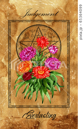 Judgement. Major Arcana tarot card with Everlasting and magic seal. Full vintage deck Enchanted Flowers. Hand drawn illustration with botanical symbols. Gothic, occult and esoteric background Judgement. Major Arcana tarot card with Everlasting and magic seal. Full vintage deck Enchanted Flowers. Hand drawn illustration with botanical symbols. Gothic, occult and esoteric background 65364099