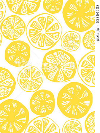 レモン　柑橘　イラスト 65364508