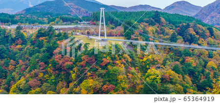 九重夢大吊橋の秋景色 パノラマ 【大分県玖珠郡】 九重夢大吊橋の秋景色 パノラマ 【大分県玖珠郡】 65364919