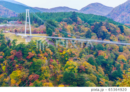 九重夢大吊橋の秋景色　【大分県玖珠郡】 65364920