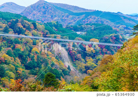 九重夢大吊橋の秋景色 【大分県玖珠郡】 九重夢大吊橋の秋景色 【大分県玖珠郡】 65364930