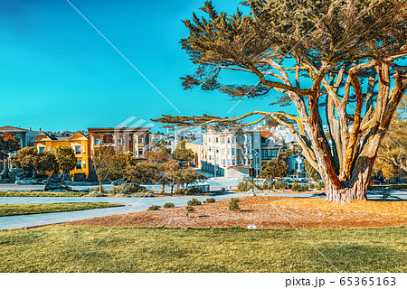 Panoramic view of the San Francisco Painted ladies Panoramic view of the San Francisco Painted ladies 65365163