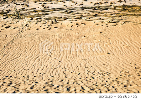 Patterns of lines, waves, footprints and dry grass in nordic dunes of Curonian spit, Nida, Klaipeda, Lithuania. Desert, eternity, beauty, calm feeling 65365755