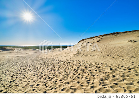 Beautiful calm view of nordic sand dunes and protective fences at Curonian spit, Nida, Klaipeda, Lithuania. Buried wood, desert and sand, blue sky 65365761