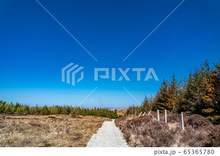 Path to Bonny Glen in County Donegal - Ireland Path to Bonny Glen in County Donegal - Ireland 65365780