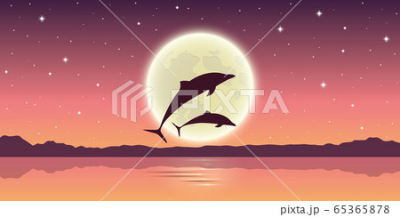 two dolphins jump out of the water in the moonlight 65365878