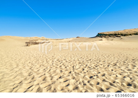Beautiful calm view of nordic sand dunes at Curonian spit, Nida, Klaipeda, Lithuania. Buried wood, desert and sand, sunny blue sky. 65366016
