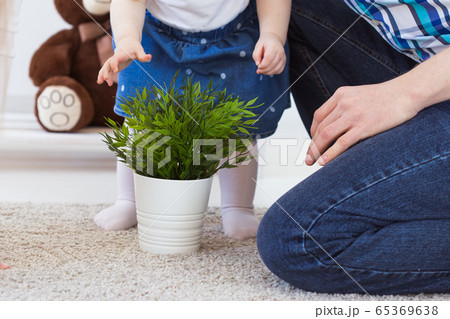 Funny baby toddler girl playing in living room. Children and family concept. Close-up 65369638