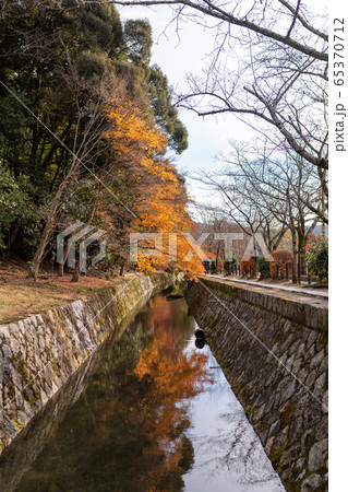 京都・哲学の道の紅葉 京都・哲学の道の紅葉 65370712