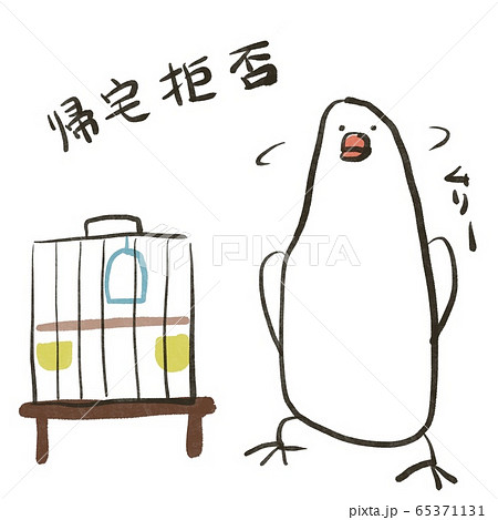 小屋に帰らない白文鳥のイラスト素材