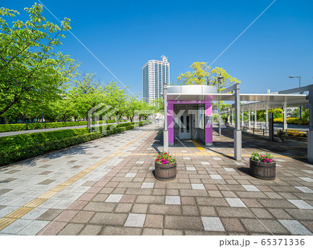 新緑の街路樹と快晴の川口元郷駅前の風景 5月 新緑の街路樹と快晴の川口元郷駅前の風景 5月 65371336