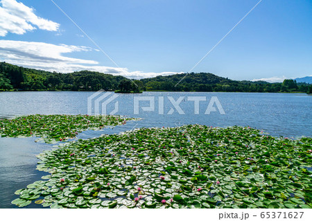 福島県 南湖公園 白河市民の憩いの場穴場人気スポット 日本最古の公園 福島県 南湖公園 白河市民の憩いの場穴場人気スポット 日本最古の公園 65371627