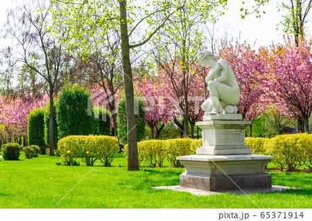 Marbel statue woman in the park. Marbel statue woman in the park. 65371914