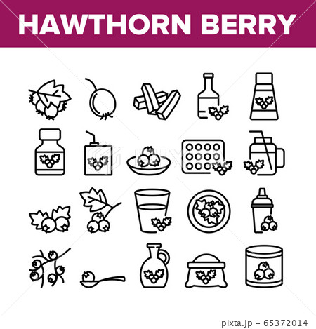Hawthorn Berry Food Collection Icons Set Vector Hawthorn Berry Food Collection Icons Set Vector 65372014