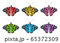 Flying colorful butterflies isolated on white background. 3D realistic beautiful butterflies. Biology. Beautiful illustration. 65372309