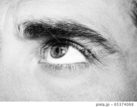 A beautiful insightful look eye. Close up shot. A beautiful insightful look eye. Close up shot. 65374068