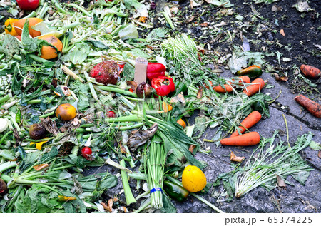 捨てられた野菜 捨てられた野菜 65374225