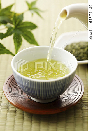 緑茶 緑茶 65374480