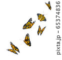 Orange beautiful flying butterflies isolated on transparent background. Monarch butterflies in Motion.3d illustration. 65374836