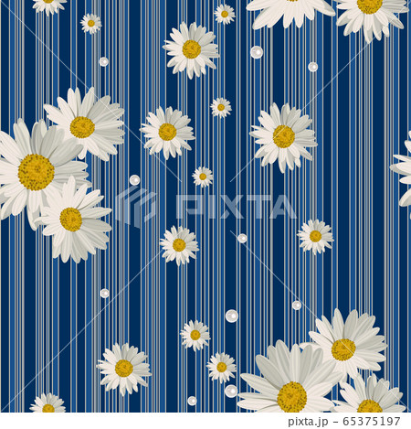 Seamless pattern with beautiful white daisy flowers. 65375197