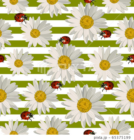 Seamless pattern with daisy flowers and ladybugs. Seamless pattern with daisy flowers and ladybugs. 65375199