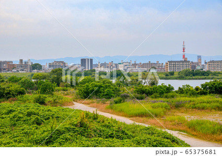 大阪の淀川河川公園 大阪の淀川河川公園 65375681