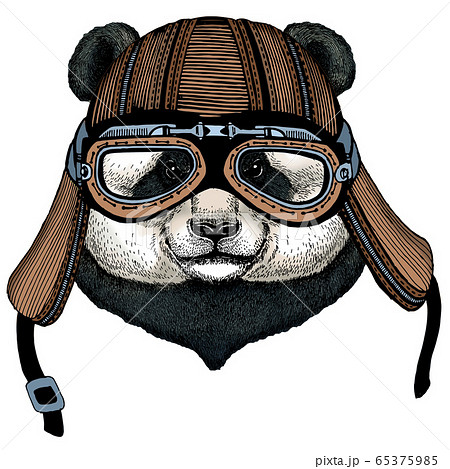 Big panda, bamboo bear portrait. Face of cute animal. Bear head. Motorcycle helmet. Big panda, bamboo bear portrait. Face of cute animal. Bear head. Motorcycle helmet. 65375985