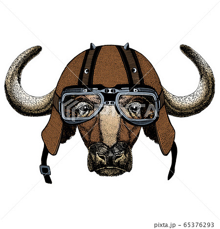 buffalo horns motorcycle helmet Makamsui Helmets Devil Horn Ornament with Suction Cup, Cow Horn Scooter Bicycle Motorbike Skateboarding Decorative Accessories for Bike Helmet, Ski Helmet & Airsoft Helmet Black : Sports & Outdoors Like all Helmet Flair products Customizable devil horn helmet accessories