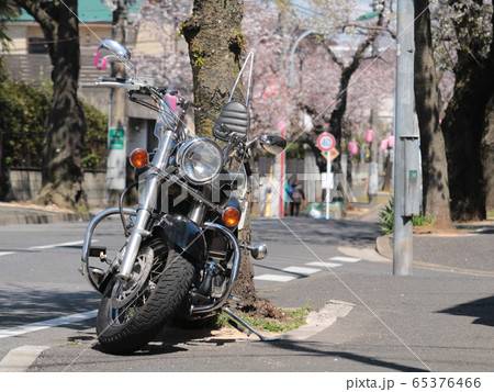 桜並木とバイク 65376466