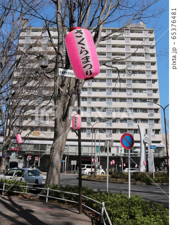 常盤平駅とさくらまつりの提灯 常盤平駅とさくらまつりの提灯 65376481
