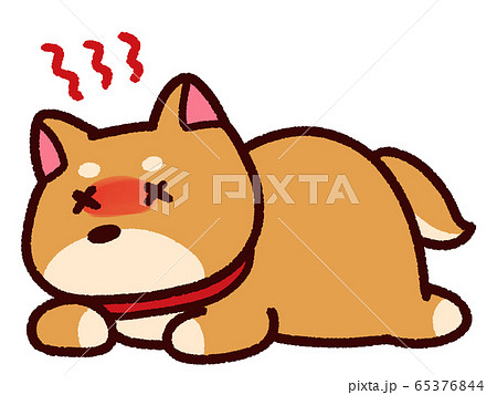 熱中症の動物 犬 柴犬のイラスト素材 65376844 Pixta