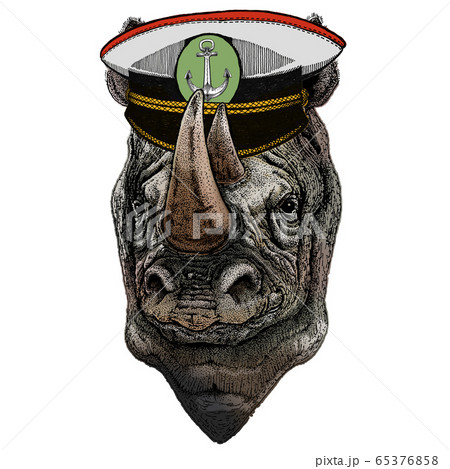 Rhinoceros, rhino portrait. Head of wild animal. Rhinoceros, rhino portrait. Head of wild animal. 65376858