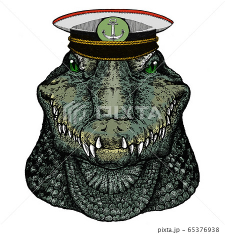 Alligator. Crocodilia. Portrait of african agressive animal. 65376938