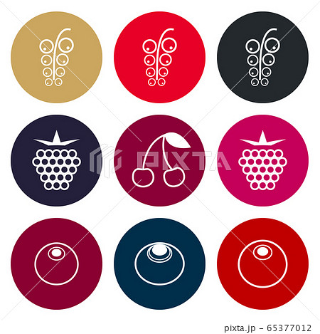 Berries vector icon set in muted tones 65377012