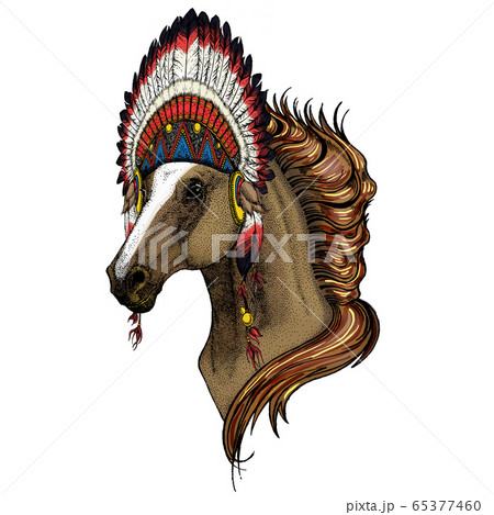 Horse, steed, courser. Portrait of wild animal. Horse, steed, courser. Portrait of wild animal. 65377460