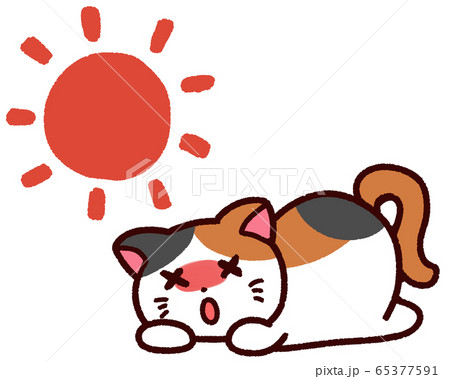 熱中症の動物 三毛猫 太陽のイラスト素材