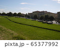 イタリアの春の新緑 65377992