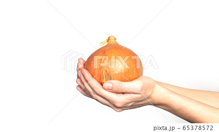Big onion head in hand on a white background. Big onion head in hand on a white background. 65378572
