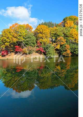 奈良県、信貴山にある、とっくりダムの紅葉 65379156