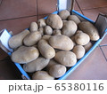 ジャガイモ　収穫 65380116