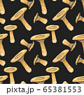 dark boletus pattern on lineart style 65381553