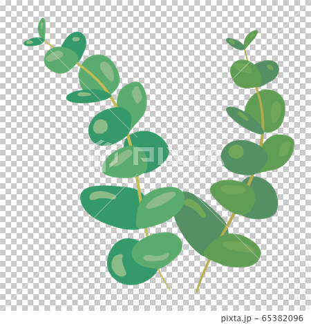 植物系列 65382096