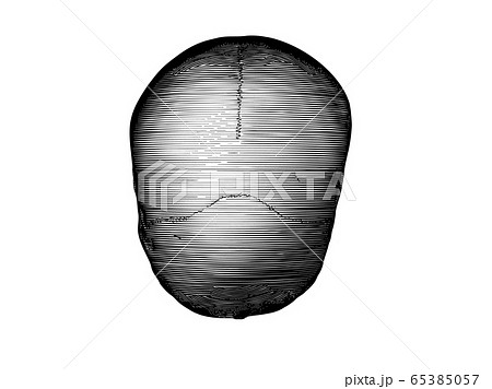 Engraving human skull top view illustration 65385057