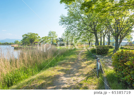 初夏の公園　サイクリングのイメージ 65385719