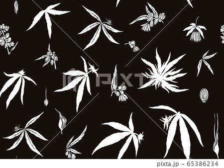Hemp, Cannabis seamless pattern, background. Hemp, Cannabis seamless pattern, background. 65386234