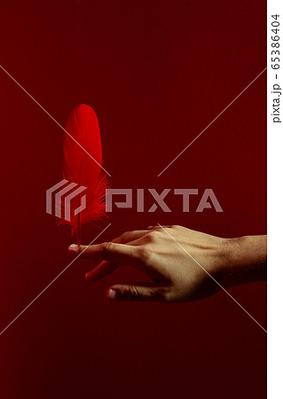 Crop hand balancing feather on finger against bright red background Crop hand balancing feather on finger against bright red background 65386404