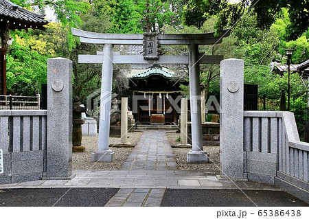向島に鎮座する隅田川七福神の一つ三囲神社 向島に鎮座する隅田川七福神の一つ三囲神社 65386438