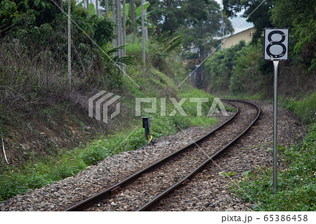 台湾観光‐南投集集線、緑のトンネルと線路 65386458