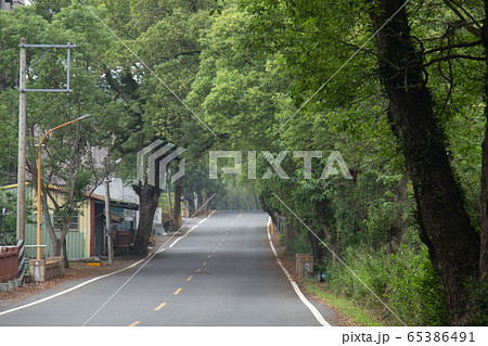 台湾観光‐南投県集集緑のトンネル 65386491