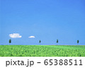 夏の草原と木と雲 65388511